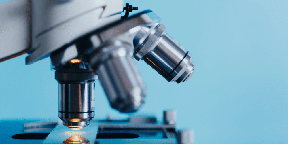 bouse de corne sous le microscope